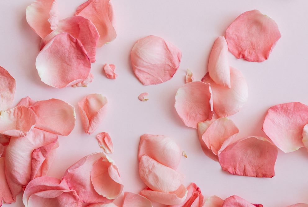 rose petals for herbal remedies