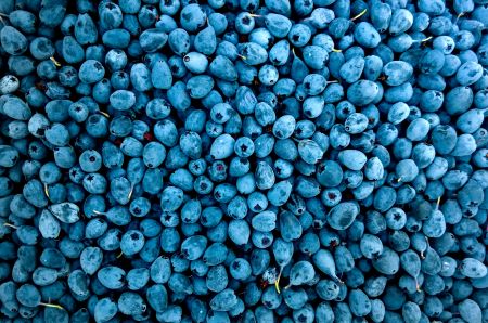Eating berries for improving low mood