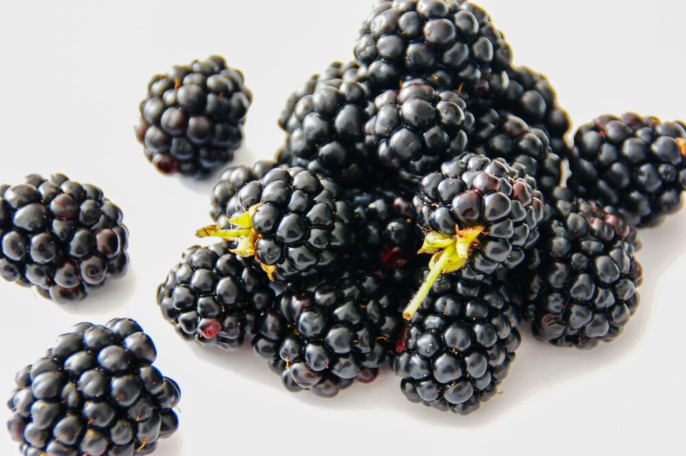 Blackberries for vegan muscle growth